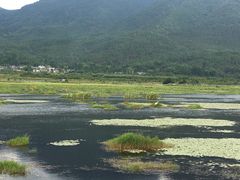 -腾冲北海湿地