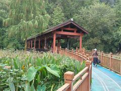 -重庆彩云湖湿地公园