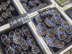 -蛇口市场