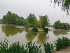 -西安浐灞国家湿地公园
