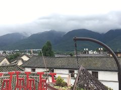 -喵屿·大理花园猫咖