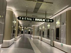 -英皇电影城(平安金融中心IMAX激光店)