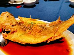 豉油糖东海黄鱼-南乡·广东顺德菜(苏宁广场B区店)