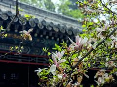 -潭柘寺景区