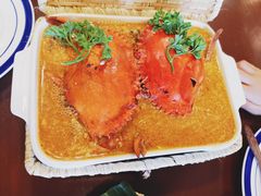 -茉莉.Red Crab