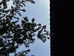-径山寺