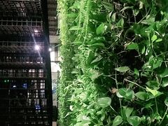-外婆家(杭州马塍店·杭帮菜名店)