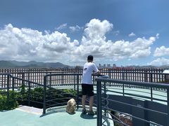 -芒洲湿地公园