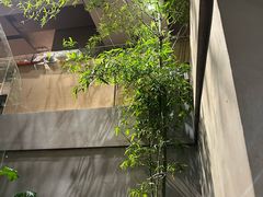 -本处·素食·融合料理(南油店)