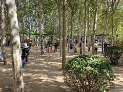 -渔岛海洋度假区