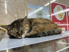 -协和菜馆(凤凰街店)