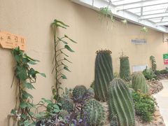 -正佳雨林生态植物园