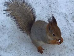 -谢尔盖圣三一大修道院