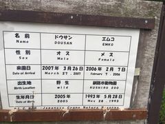 -钏路市丹顶鹤自然公园