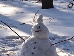 -长春公园(普阳街道)