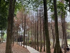 -广州市帽峰山景区