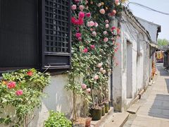 -锦溪古镇