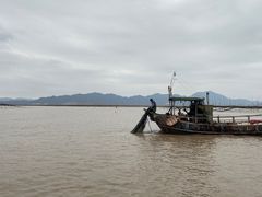 -北岐滩涂