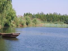 -溱湖国家湿地公园