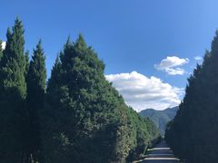 -秦始皇帝陵博物院-丽山园