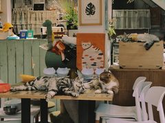 -小时光咖啡馆(北锣鼓巷店)