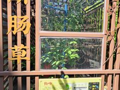 -广州神农草堂中医药博物馆