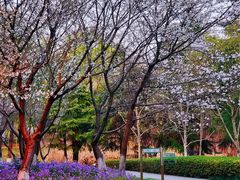 -白塘生态植物园