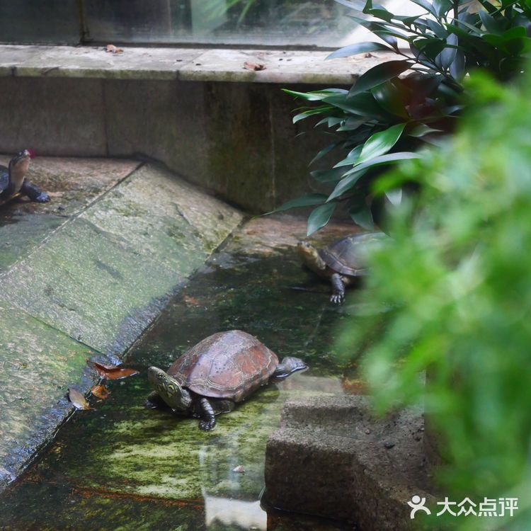 广州｜廣州經典老字號茶樓——北園