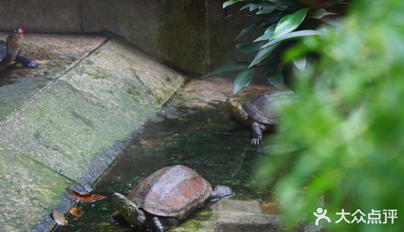 广州｜廣州經典老字號茶樓——北園