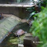 广州｜廣州經典老字號茶樓——北園