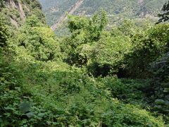 -秦岭终南山世界地质公园翠华山景区