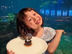 -涛·海底餐厅·美人鱼·自助餐·海底隧道(三亚海棠湾洲际度假酒店)
