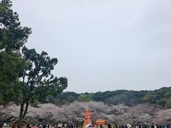 -苏州上方山国家森林公园
