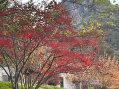 -楠溪江风景名胜区