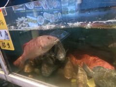 -鑫悦楼煎蟹·16年海鲜大排档