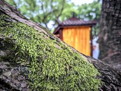 -东钱湖旅游度假区