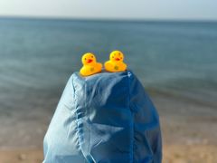 -那香海钻石沙滩浴场