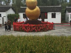 -溱湖国家湿地公园