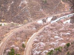 -居庸关长城