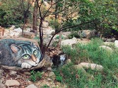 -黑龙潭风景区
