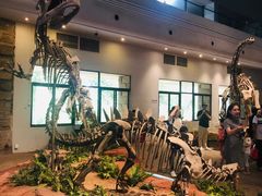 -自贡恐龙博物馆