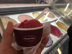 -哈根达斯(天河城店)