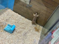 -龟与熊猫宠物公园(南坪店)