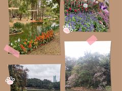 -人民公园(罗湖区)