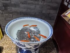 -海碗居老北京炸酱面(增光路店)
