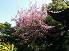 -乌山风景区