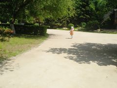 -长白岛森林公园