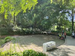 -成都市活水公园