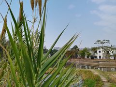 -华南国家植物园-售票处