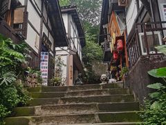 -磁器口古镇